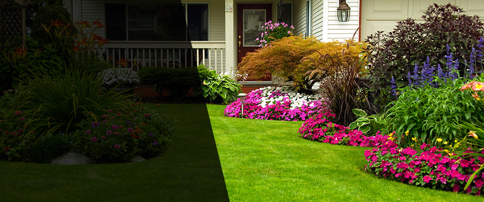 Pinole Landscapers