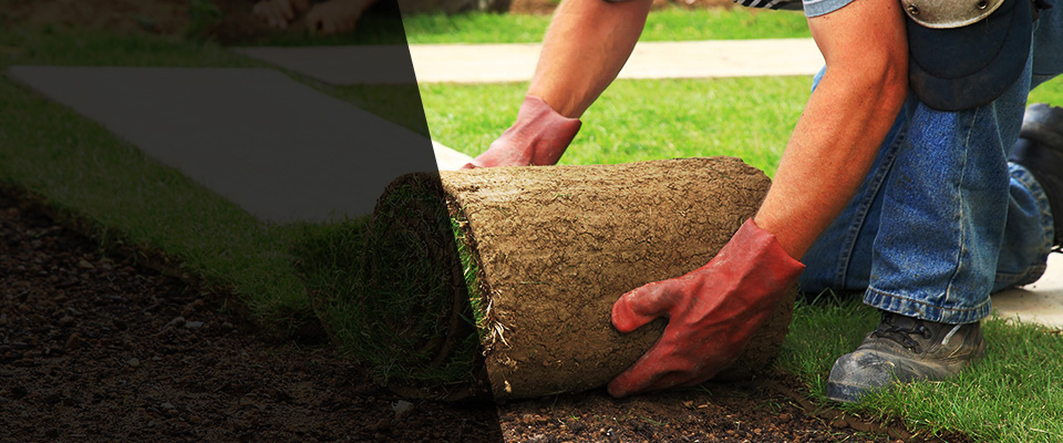 Pinole Landscapers